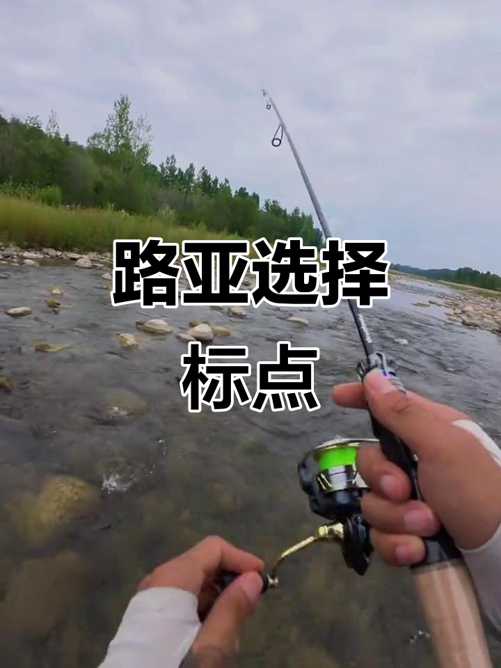 溪流半岛路亚(溪流路亚群)