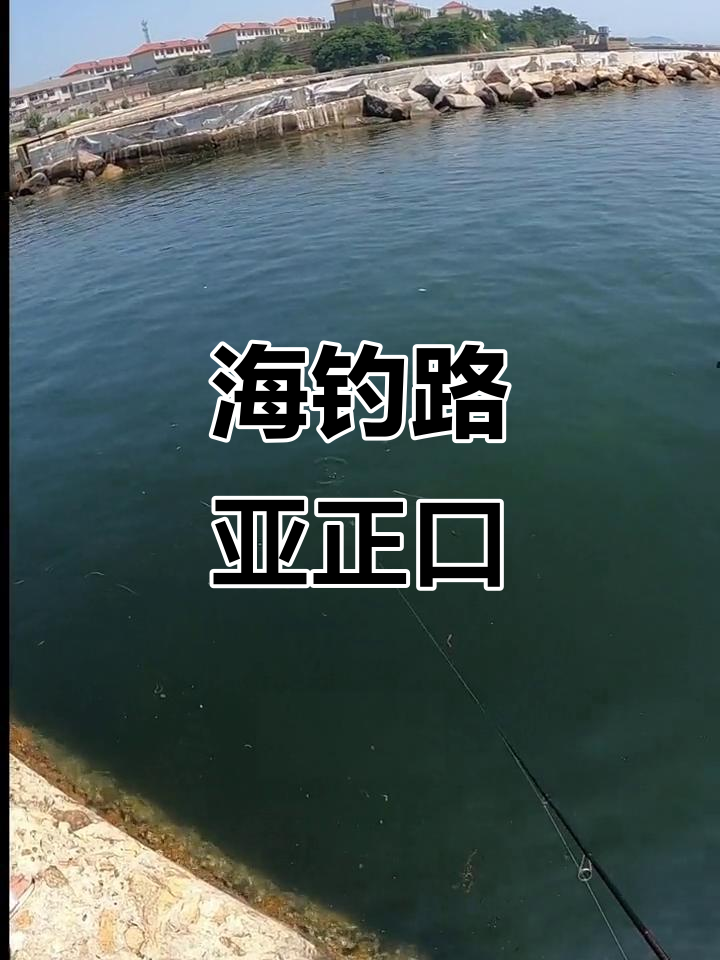 鲅鱼圈海钓路亚(鲅鱼圈哪里可以海钓钓鱼)