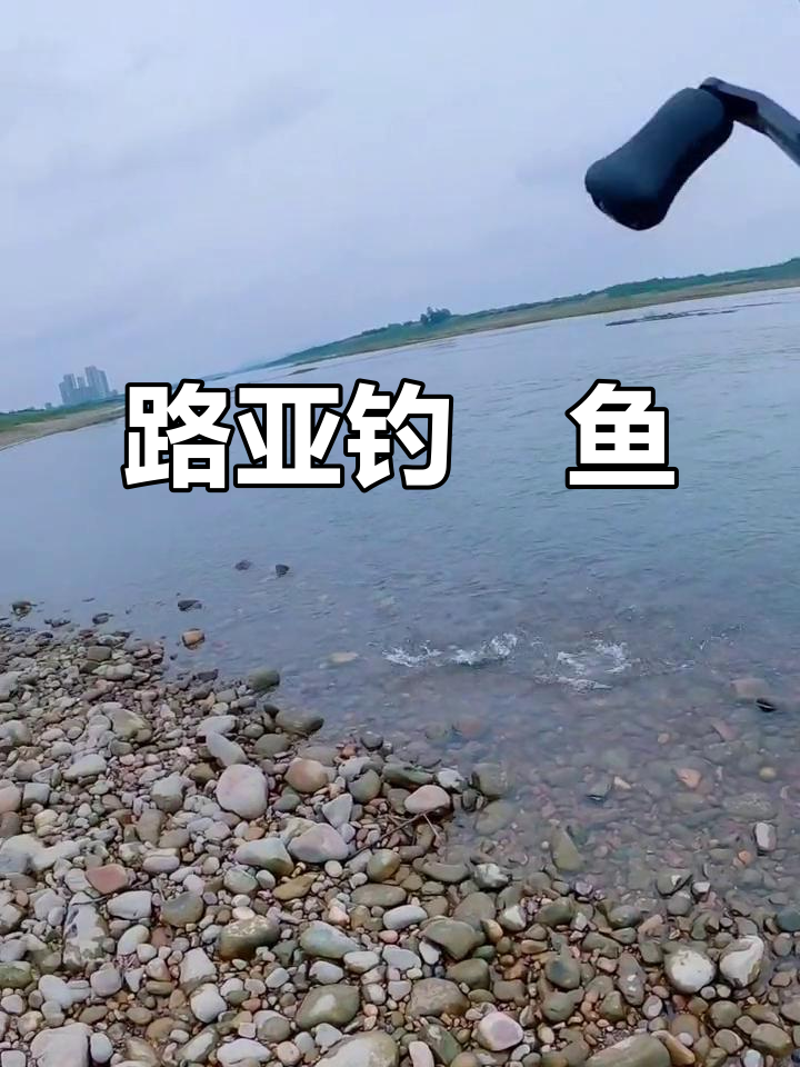 路亚怎么钓鳡鱼(路亚钓鳡鱼线组搭配)