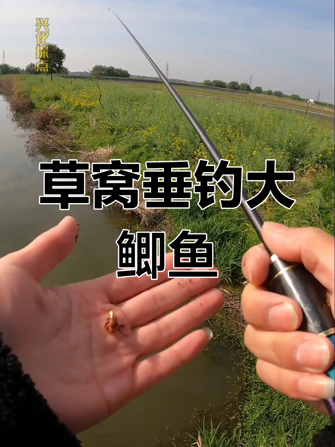 夏季钓鲫鱼打窝技巧(夏季钓鲫鱼打窝子最佳配方)