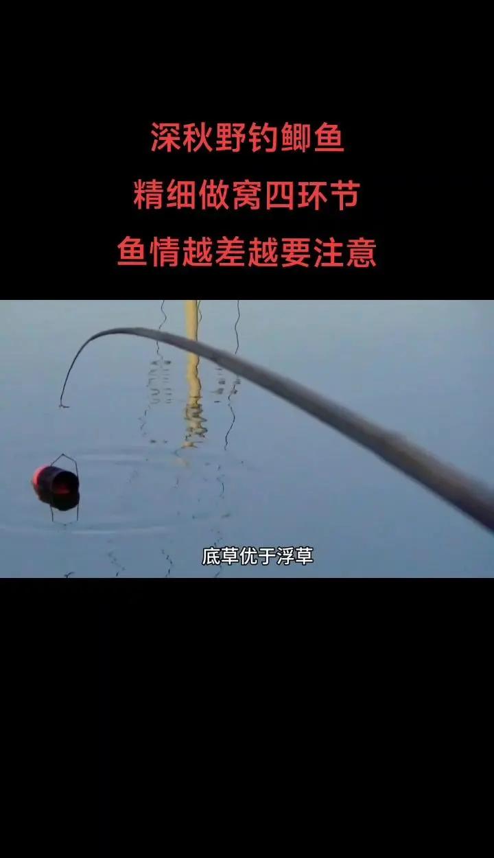 夏季钓鲫鱼打窝技巧(夏季钓鲫鱼打窝子最佳配方)