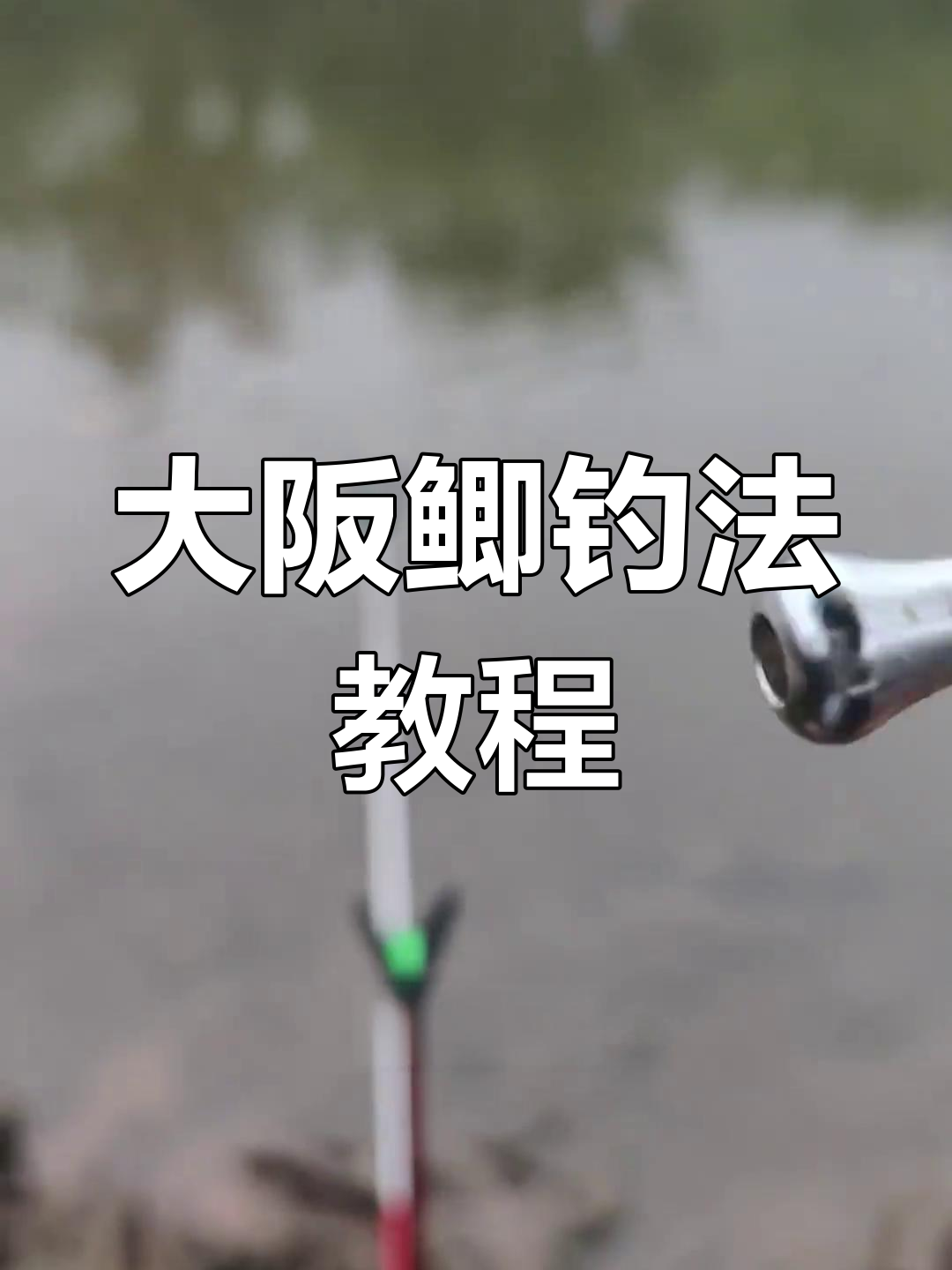 日本钓鱼技巧视频(日本钓鱼高手钓鱼视频)