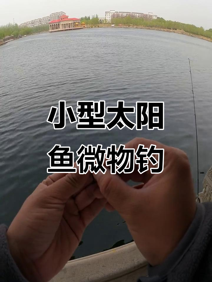 路亚路太阳鱼(路亚太阳鱼用那种鱼钩)