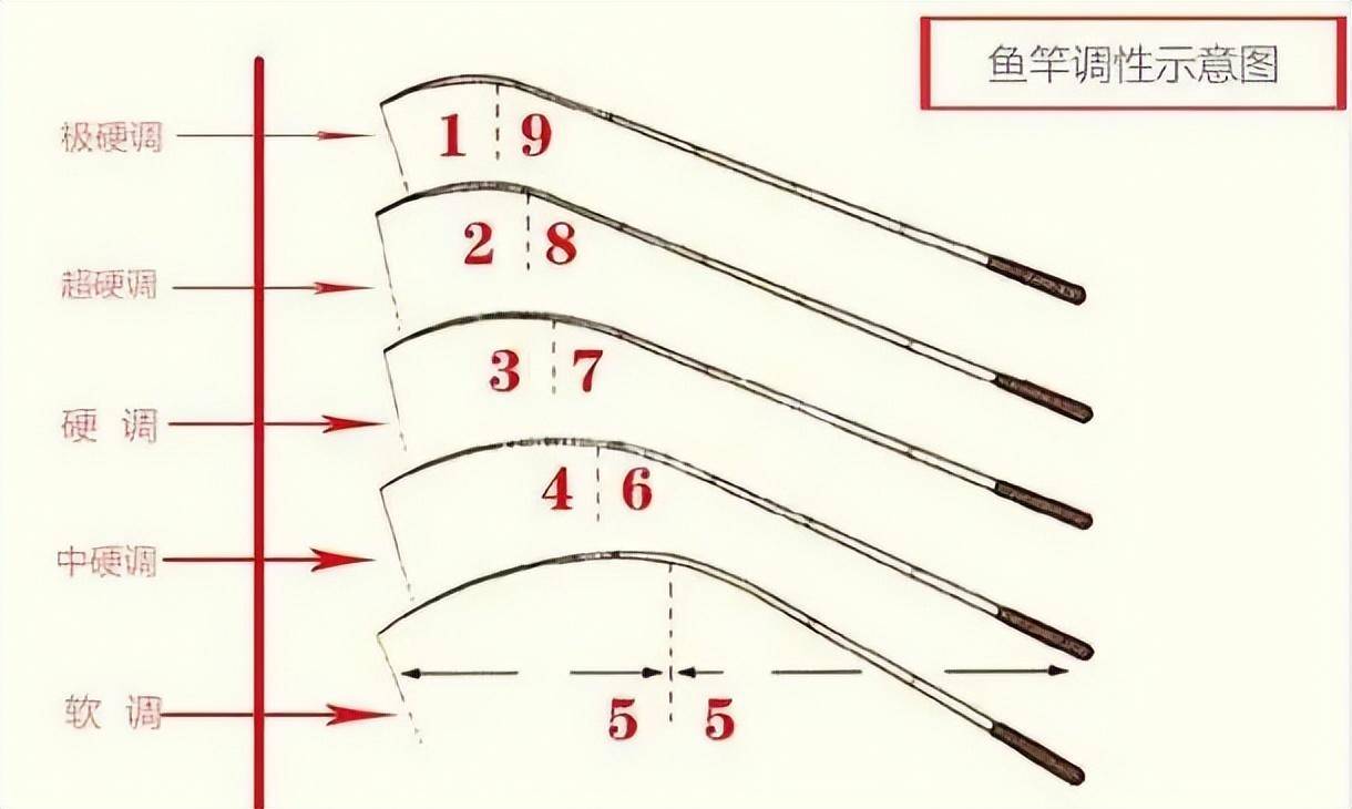 10米以上鱼竿钓鱼技巧(10米以上鱼竿钓鱼技巧和方法)