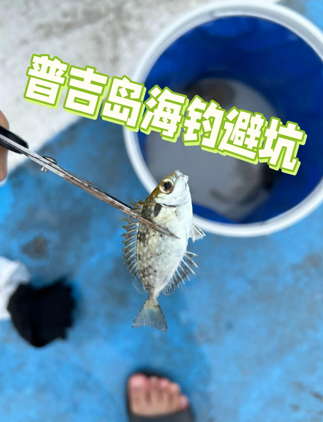 普吉休闲海钓(海钓船价格及型号)