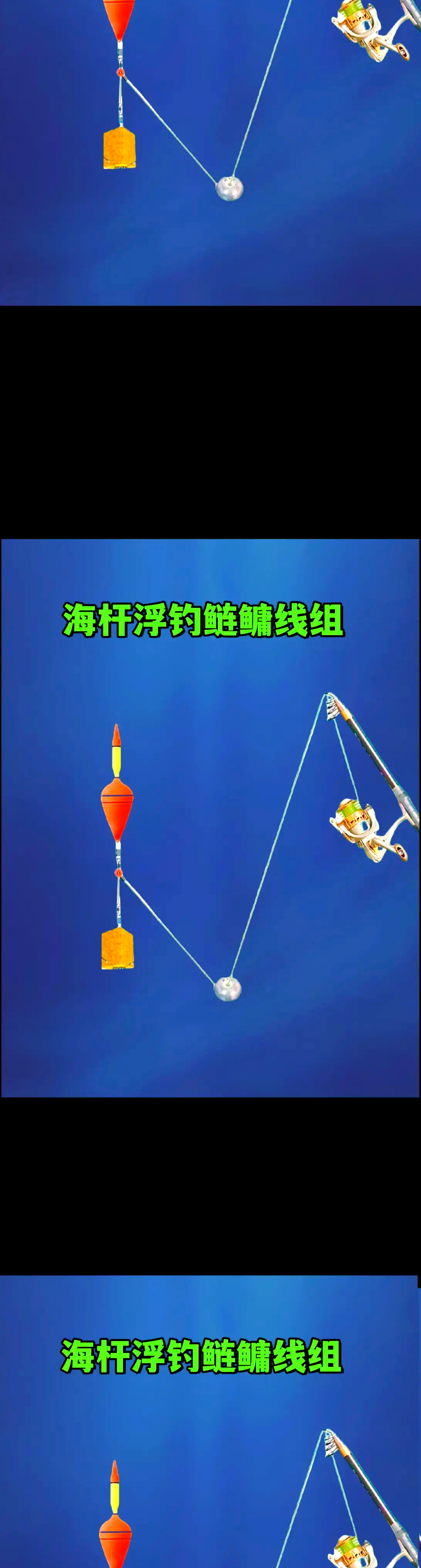 钓抛竿鳙鱼技巧(钓抛竿鳙鱼技巧图解)