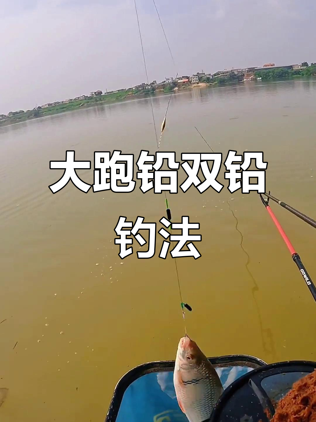 夏季钓鲮鱼技巧(初夏如何钓鲮鱼)