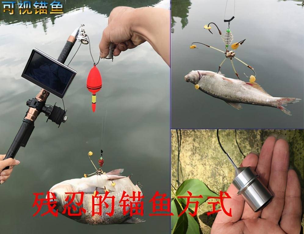 路亚竿如何锚鱼(路亚竿锚鱼用几号线)