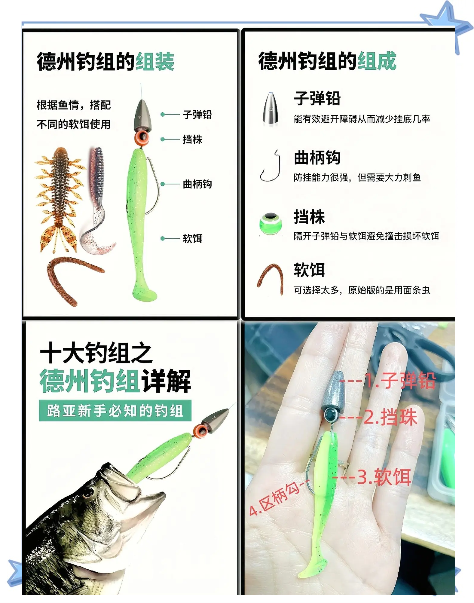 海钓底钓图解(海钓底钓图解图片)