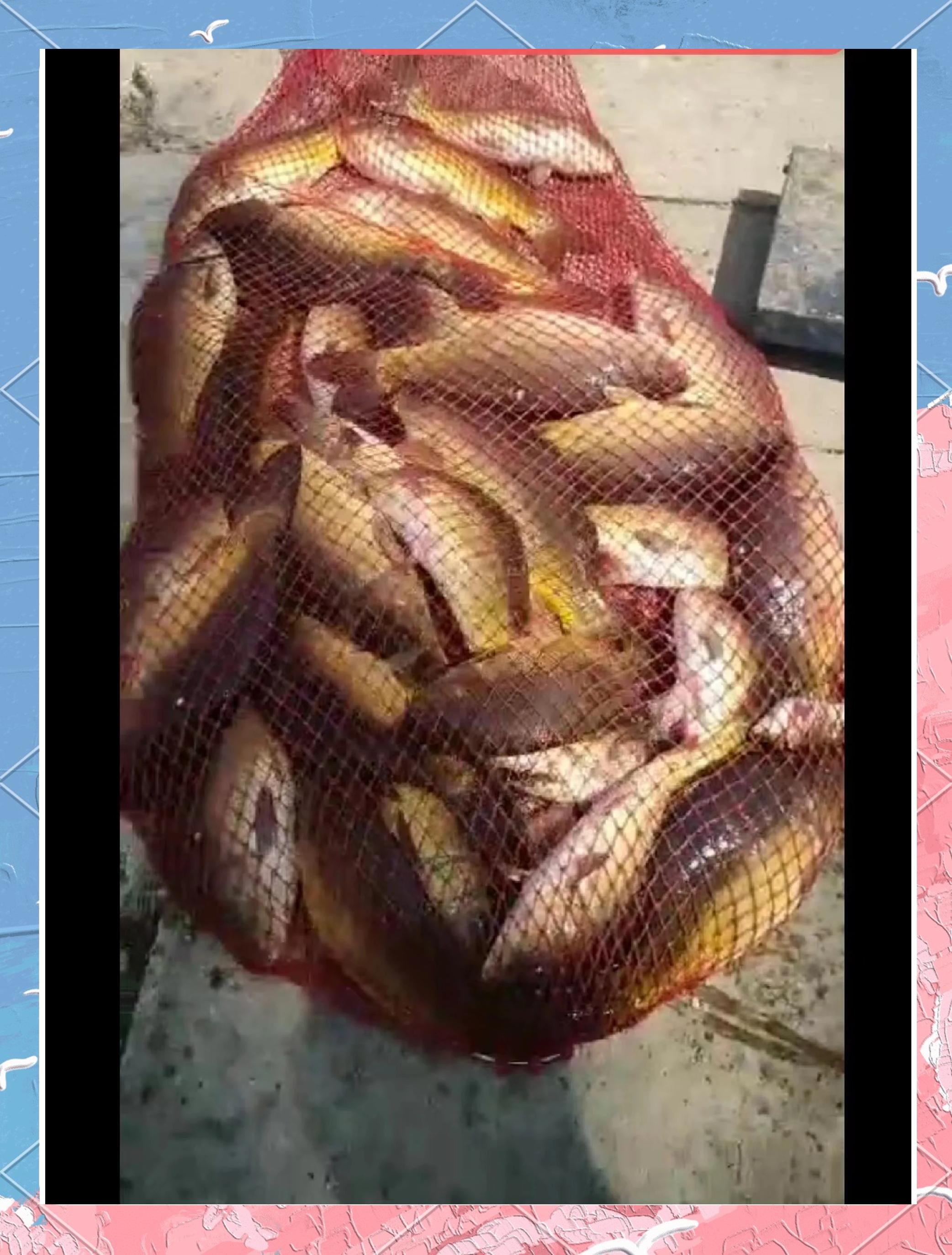 十月黑坑钓鱼技巧(十月黑坑钓鱼技巧视频)