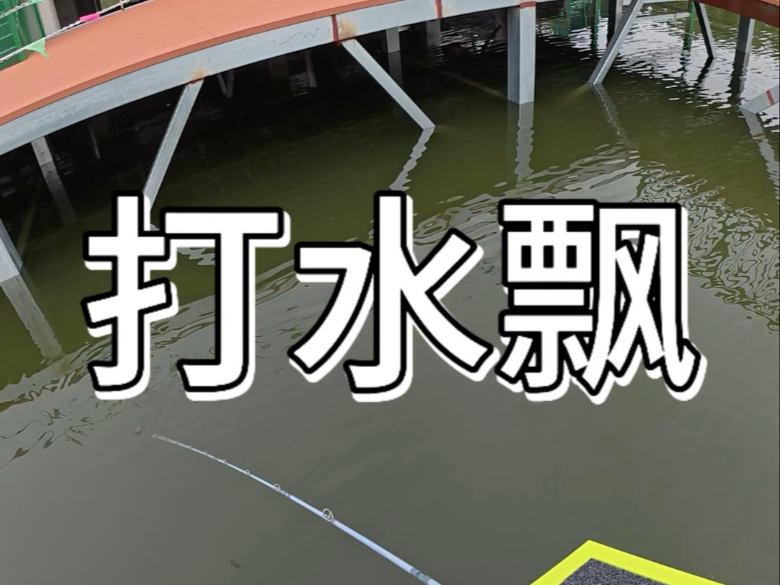路亚如何打水飘(路亚水漂的技术要点)