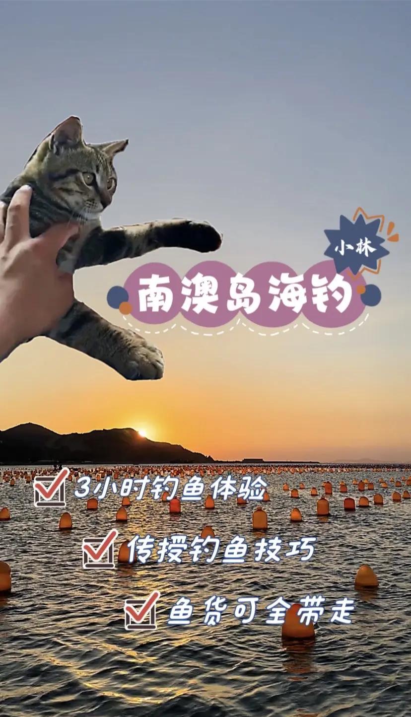 南油海钓在哪里(南油海钓在哪里可以钓到)