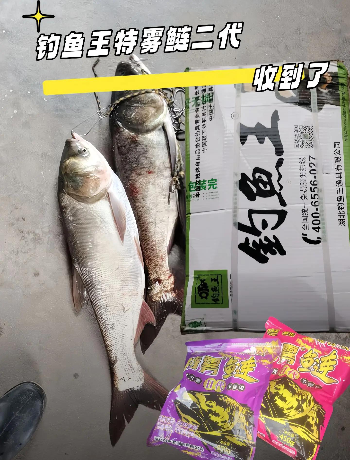 最好鲢鱼饵料照片(最厉害的钓鲢鳙饵料)