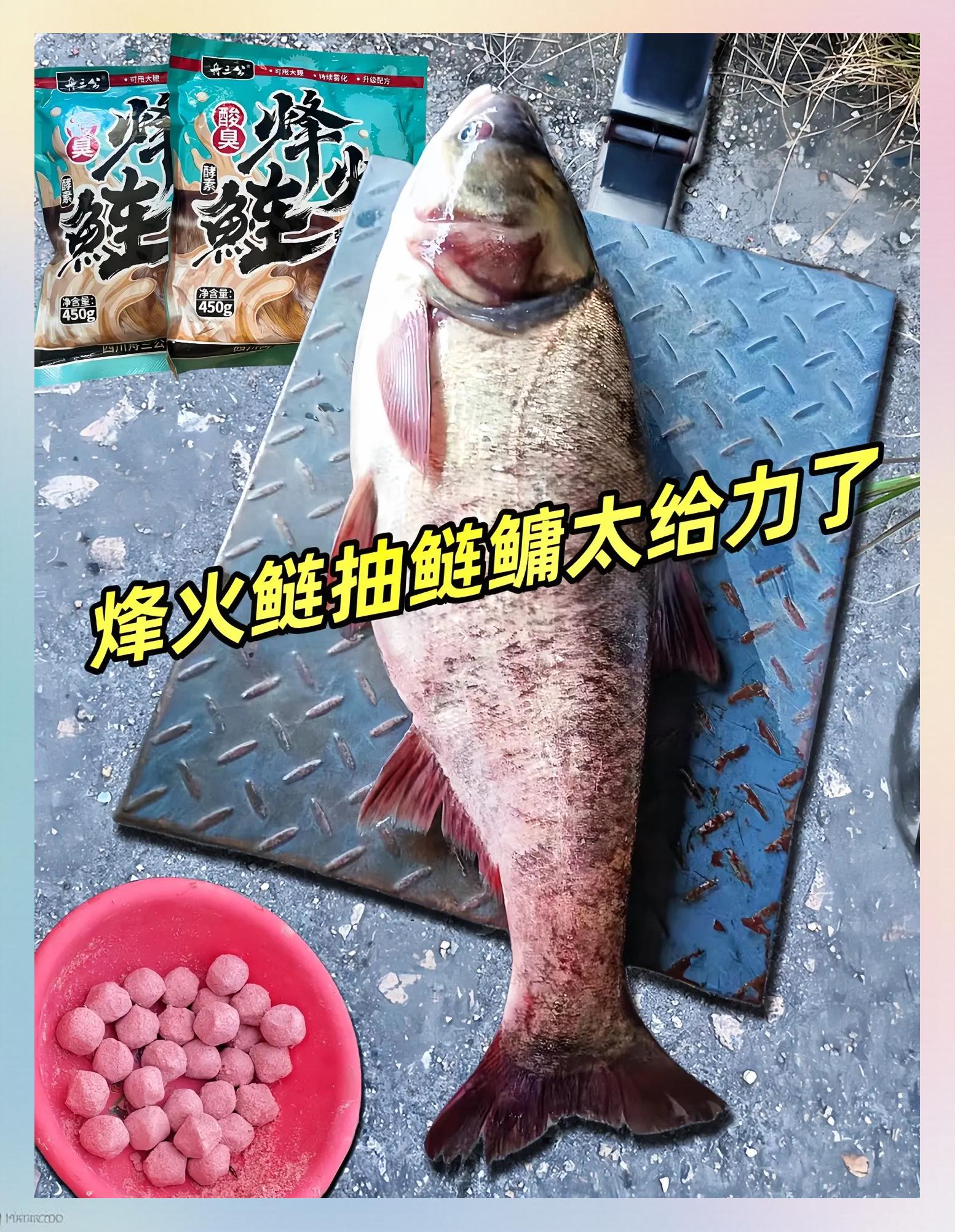 最好鲢鱼饵料照片(最厉害的钓鲢鳙饵料)