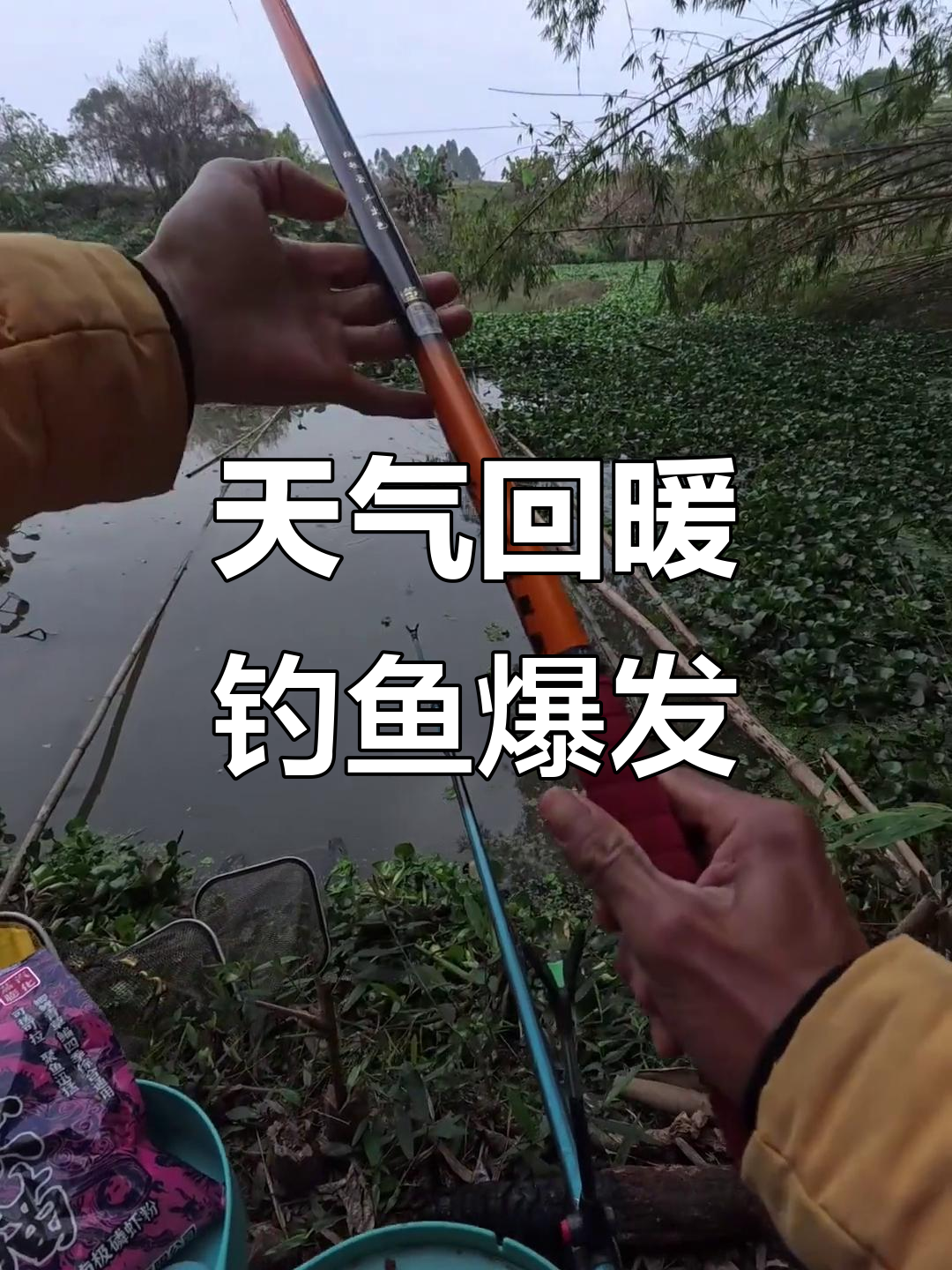 春季草洞钓鱼技巧(草洞怎么钓鱼)