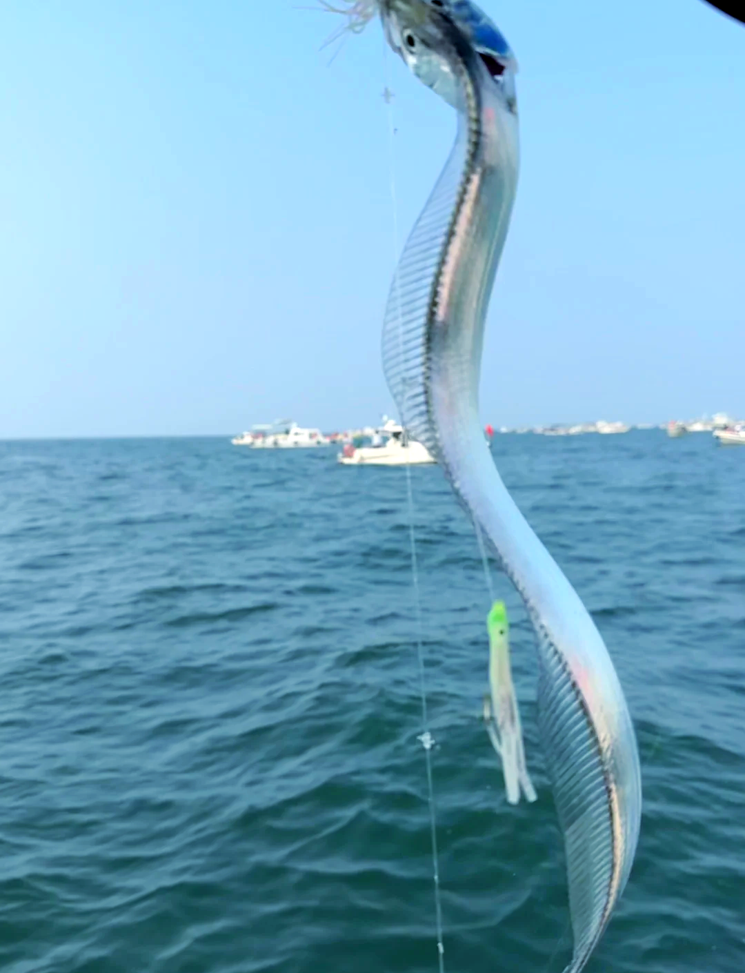海钓礁石结构(礁石区海钓怎么钓鱼挂底)