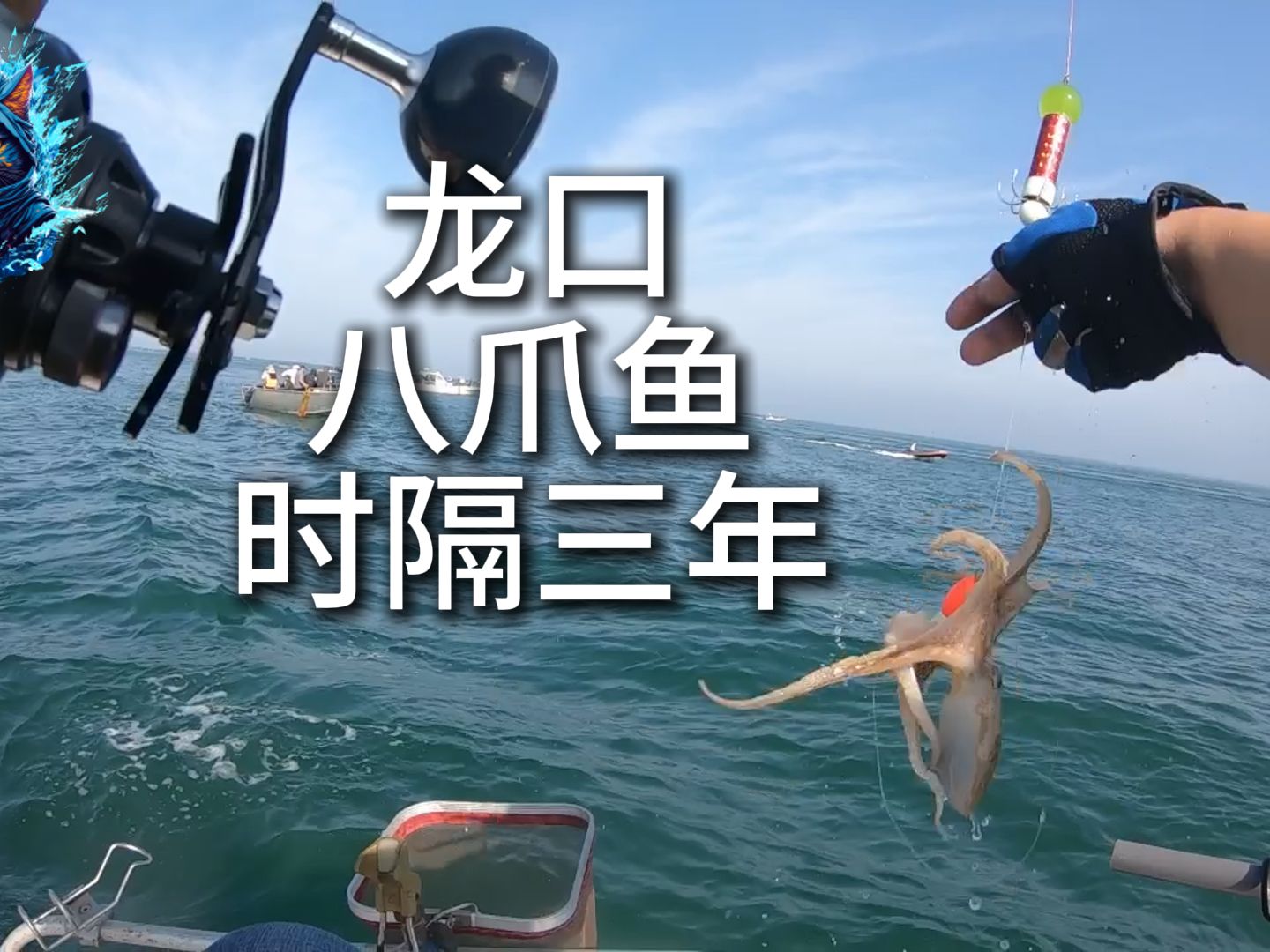 龙口海钓地点免费(龙口海钓现在开始了吗?)