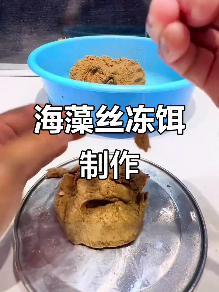 自制海鱼饵料(自制海鱼饵料最简单三个步骤)