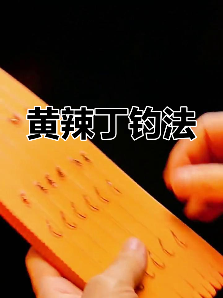 串钩钓黄辣丁技巧(钓黄辣丁串钩的钩距多少好)
