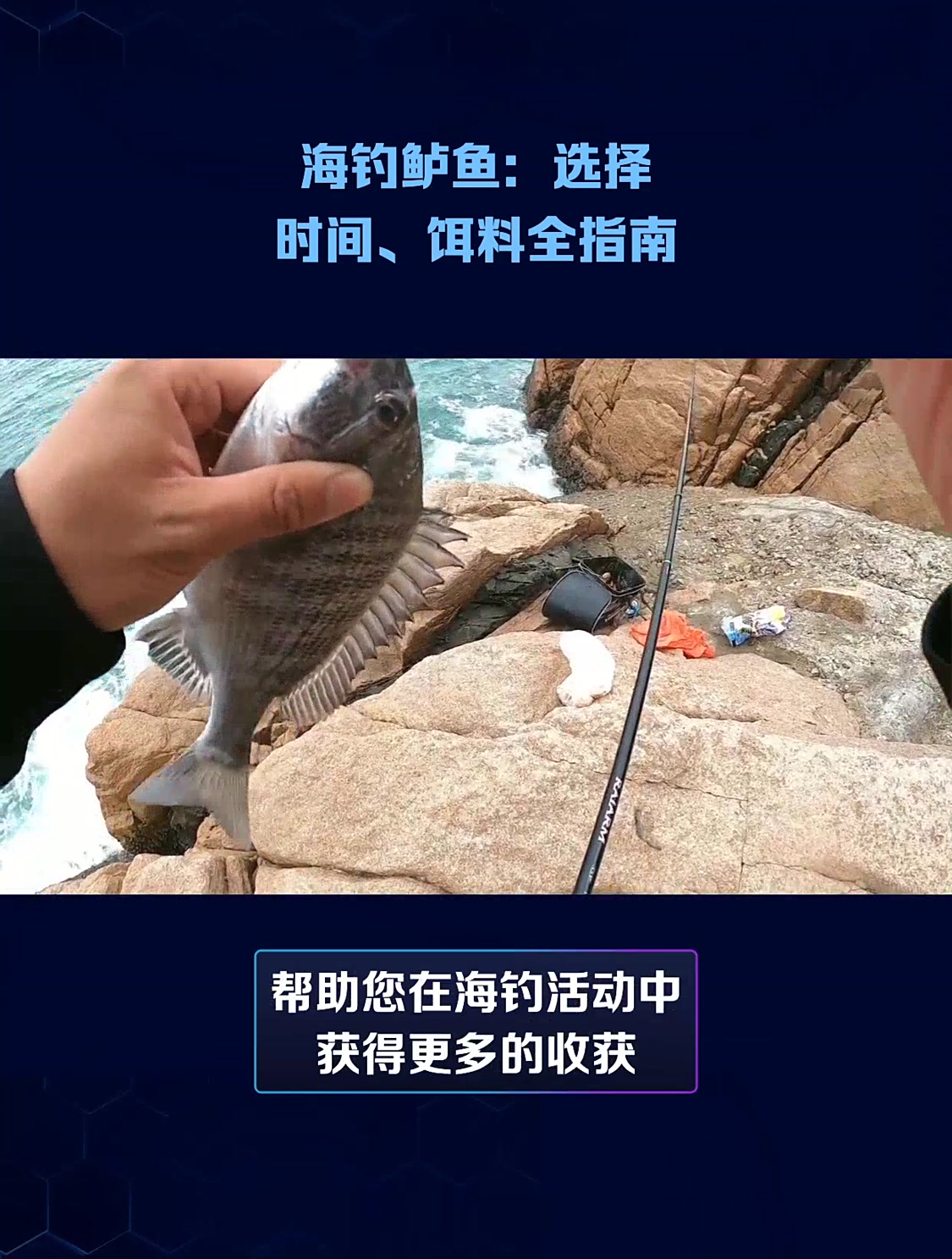 海钓沉底鲈鱼技巧(海钓沉底钓什么样的钩组合适)