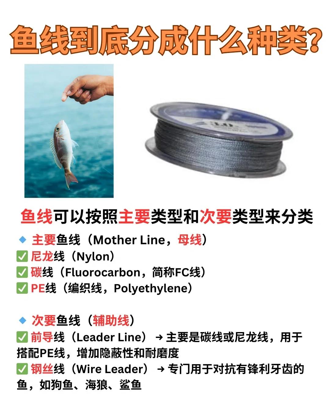 路亚收线速度(路亚收线速度快鱼能跟上吗)