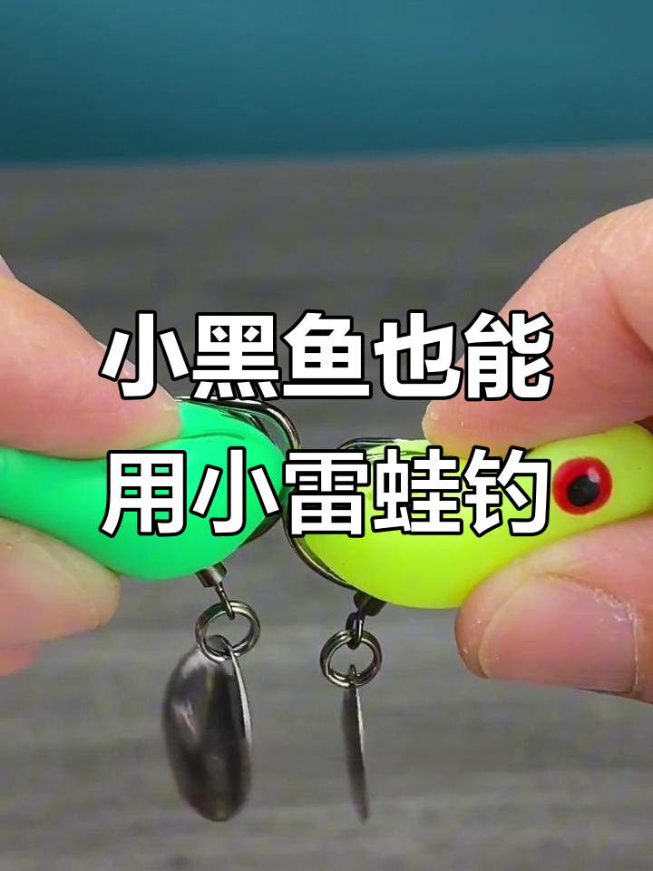 雷蛙钓黑鱼技巧youku(雷蛙钓黑鱼绝密技巧)
