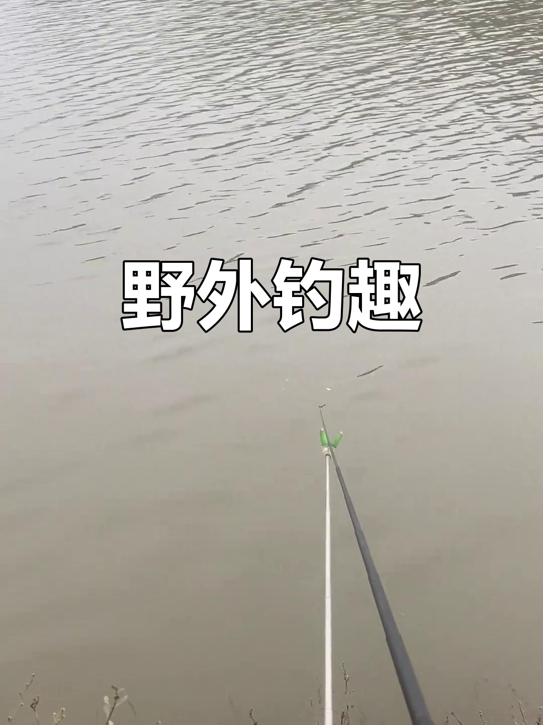 夏季乡村野河钓鱼技巧(夏季乡村景色描写)