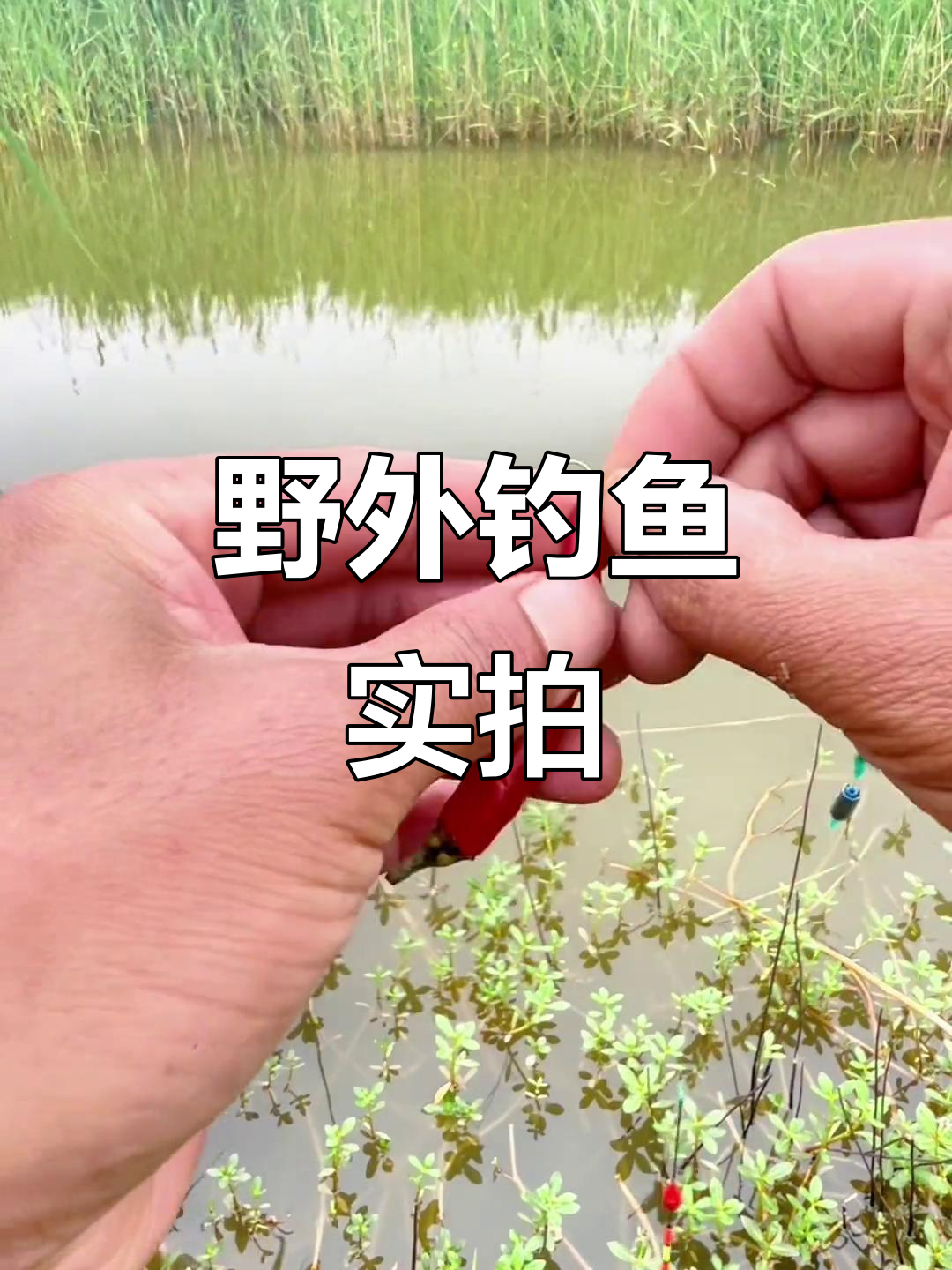 夏季乡村野河钓鱼技巧(夏季乡村景色描写)