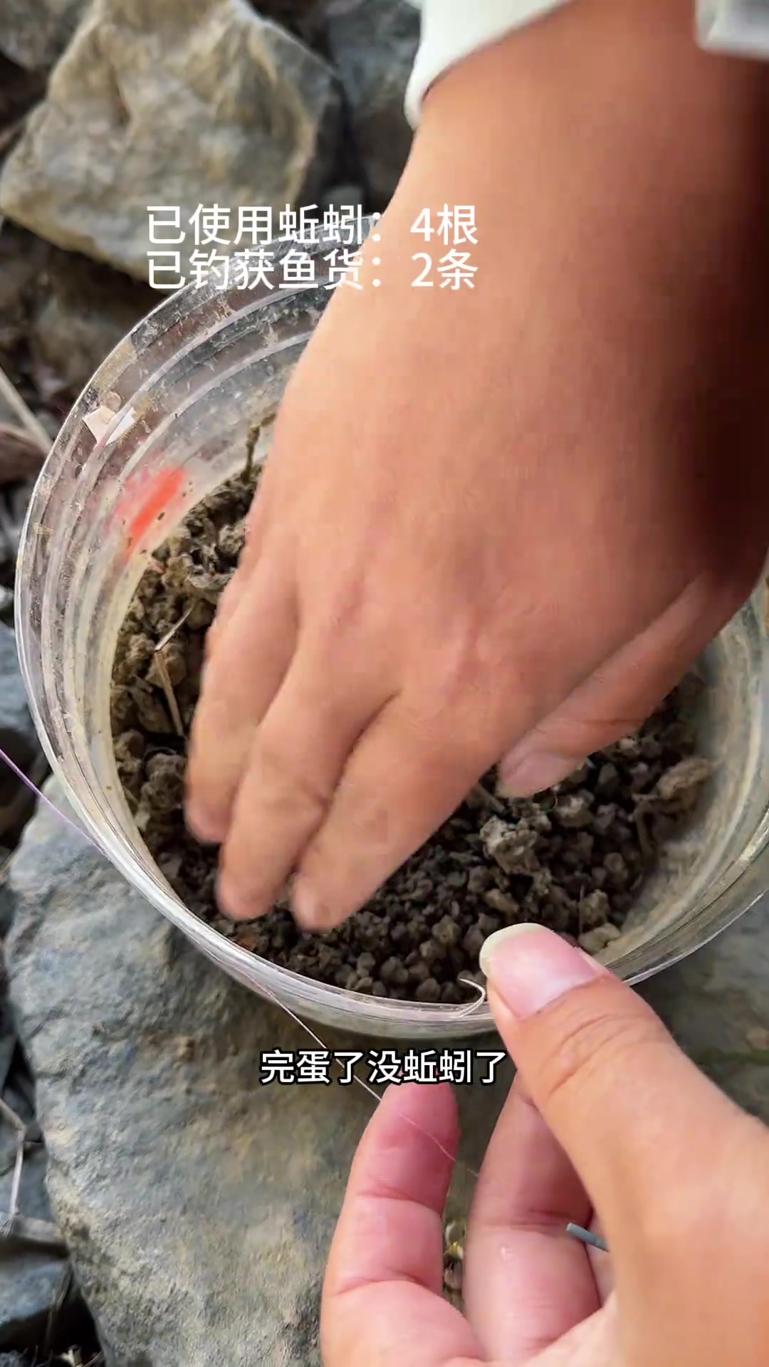 蚯蚓能海钓吗(蚯蚓可以海钓鱼吗?)