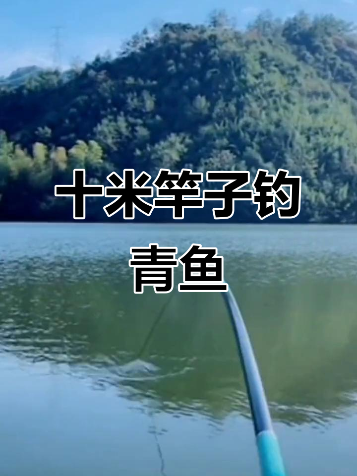 秋天池塘钓青鱼技巧视频(秋天池塘钓青鱼技巧视频大全)
