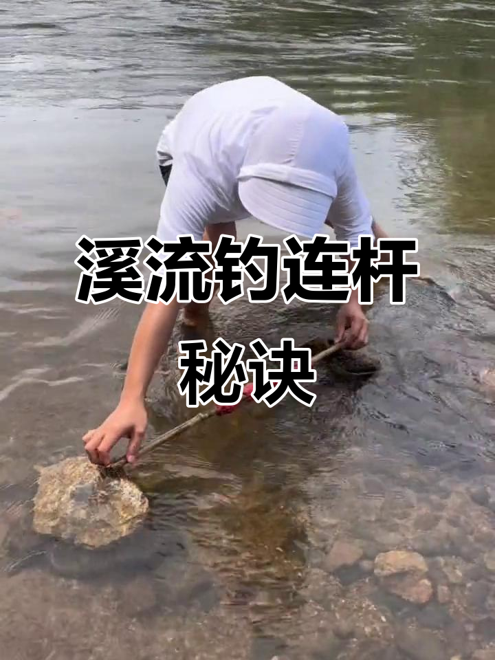 钓小溪鱼技巧用什料(小溪钓鱼视频钓鱼视频大全)