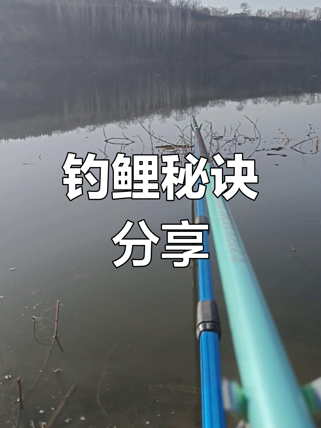 钓鱼技巧鲤鱼(钓鲤鱼诀窍)