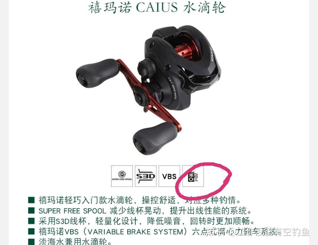 滴水轮可以海钓吗(滴水轮用什么杆)