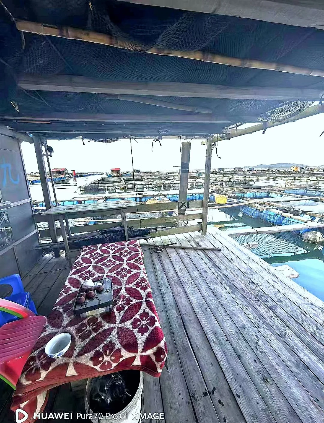厦门思明海钓地点分布(厦门思明区海边在哪)