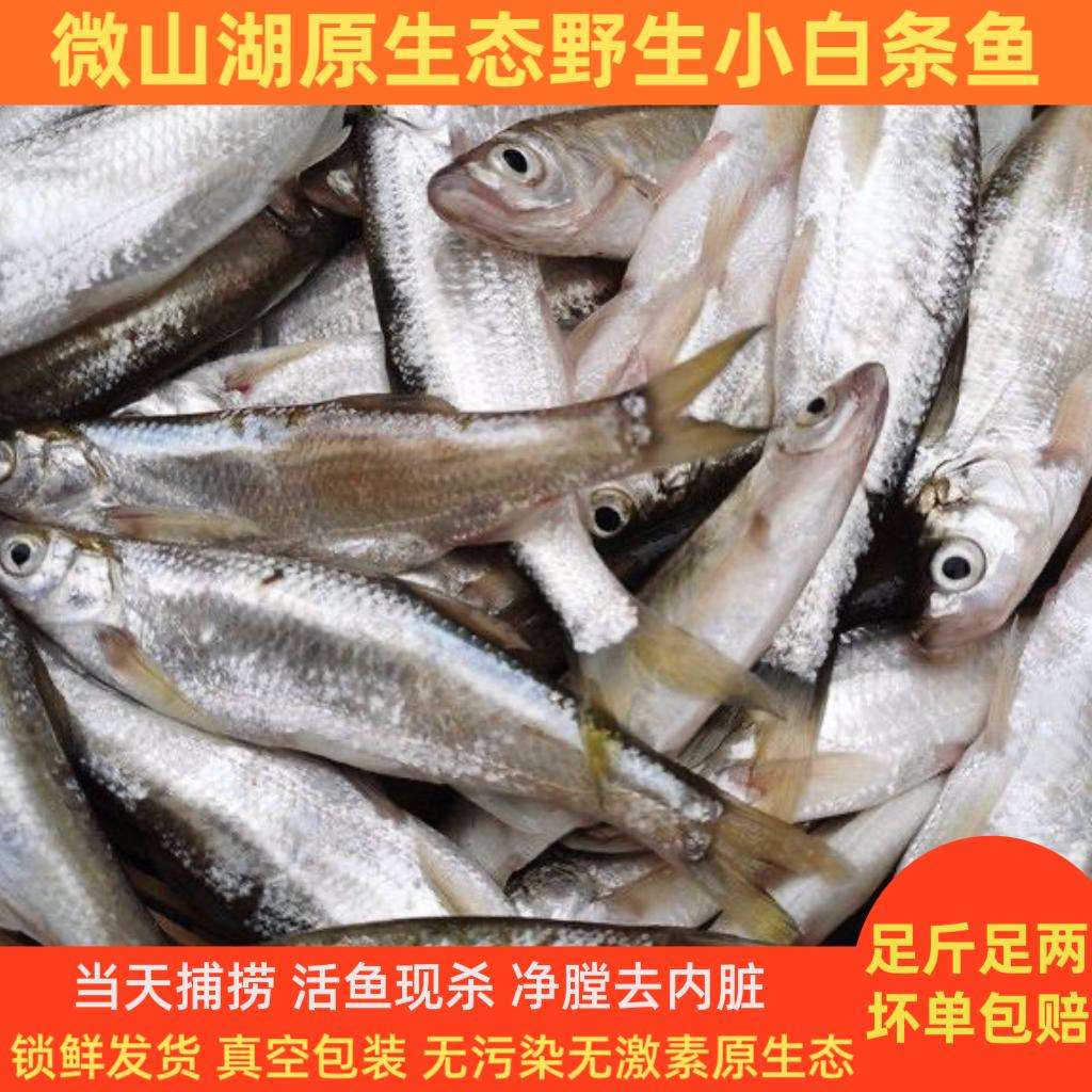 路亚小餐条(路亚餐条用什么饵最好)