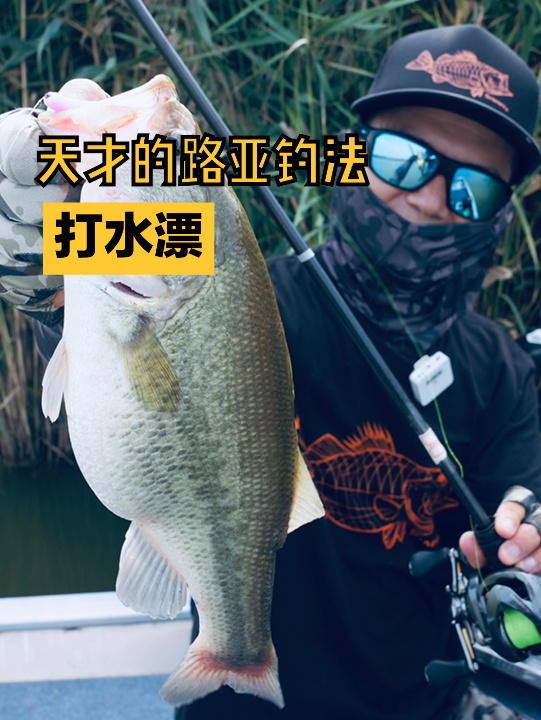 路亚线加漂(路亚线组是否加铅坠)