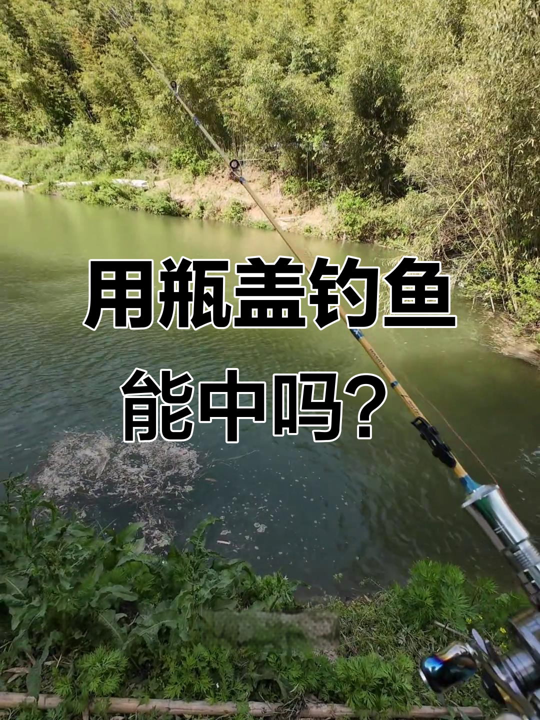 钓鲈鱼自制饵料(鲈鱼诱饵)