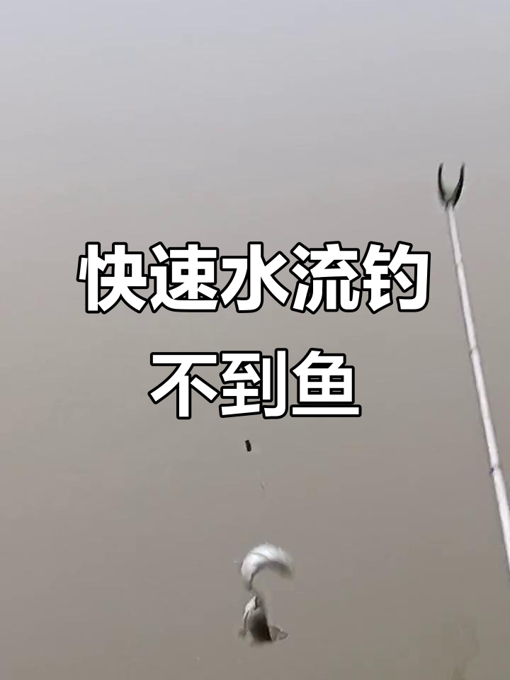 水流太急钓鱼技巧(水流急好钓鱼吗)