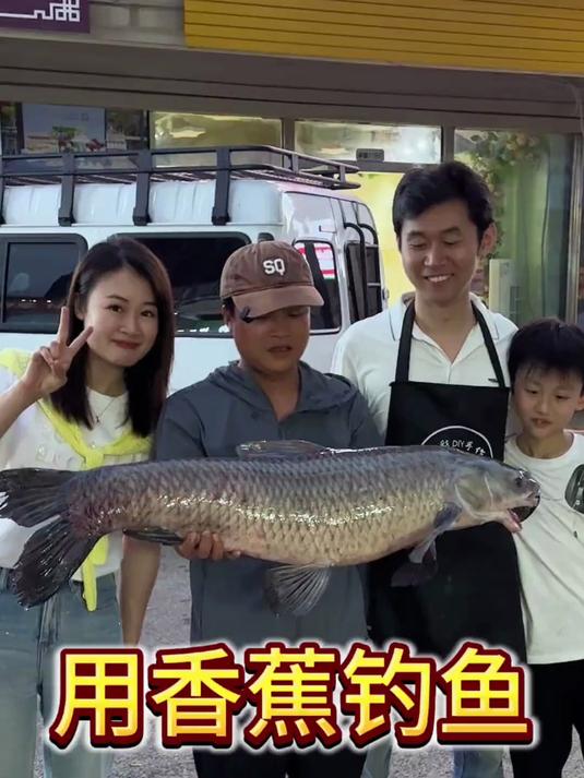 香蕉搭配饵料钓鱼(香蕉做钓饵如何配制)