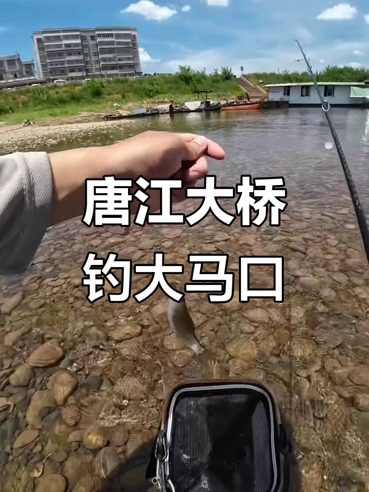 长江能玩路亚吗(长江可以路亚钓鱼吗)