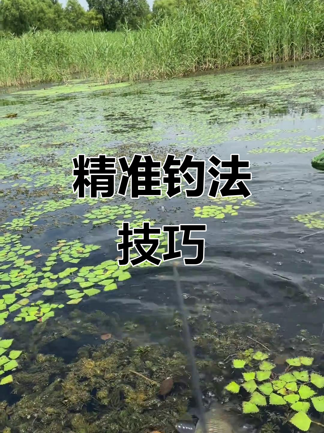 钓鱼提杆技巧视频(钓鱼提竿最佳时机视频)