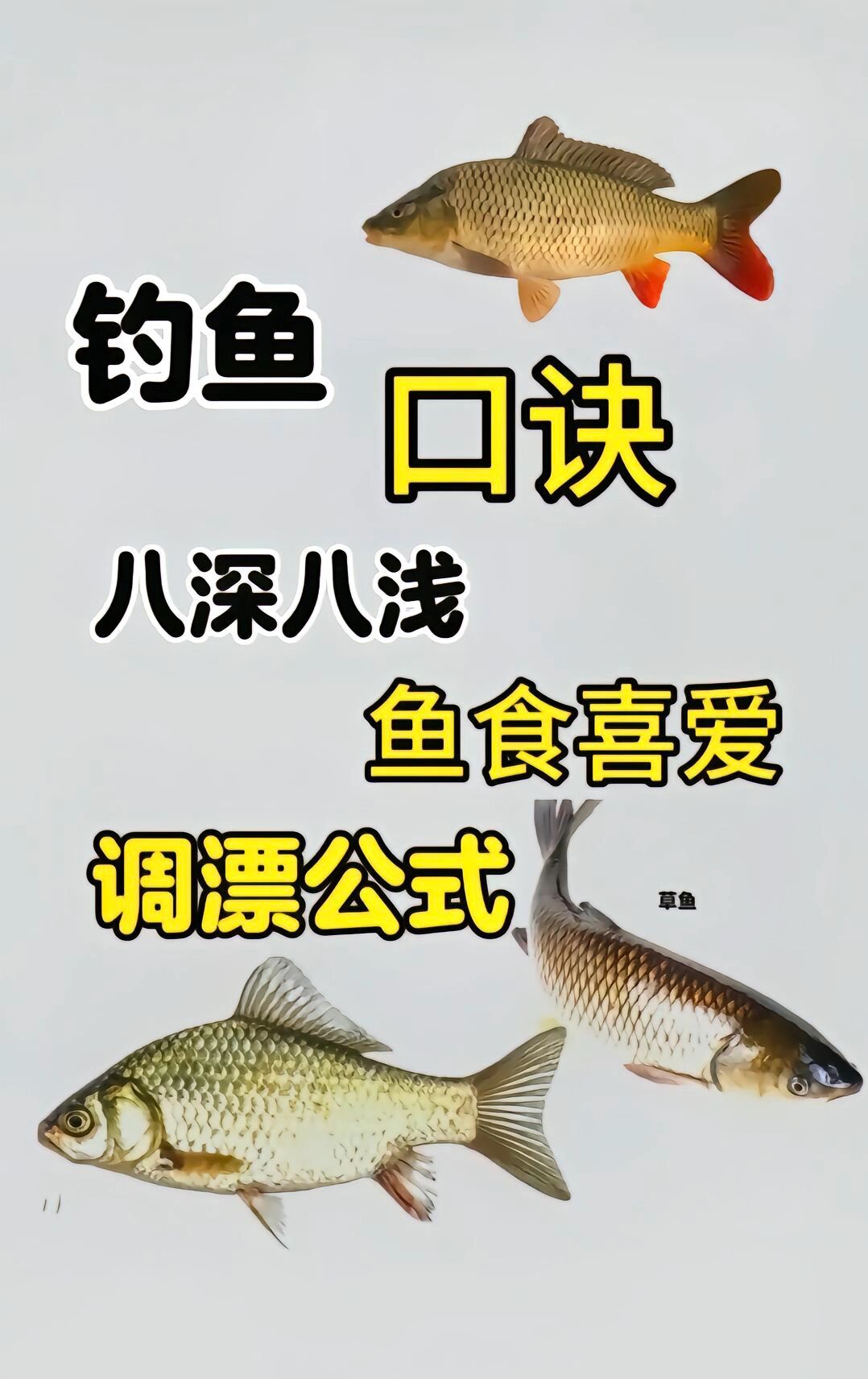水流极快钓鱼技巧(水流极快钓鱼技巧视频)