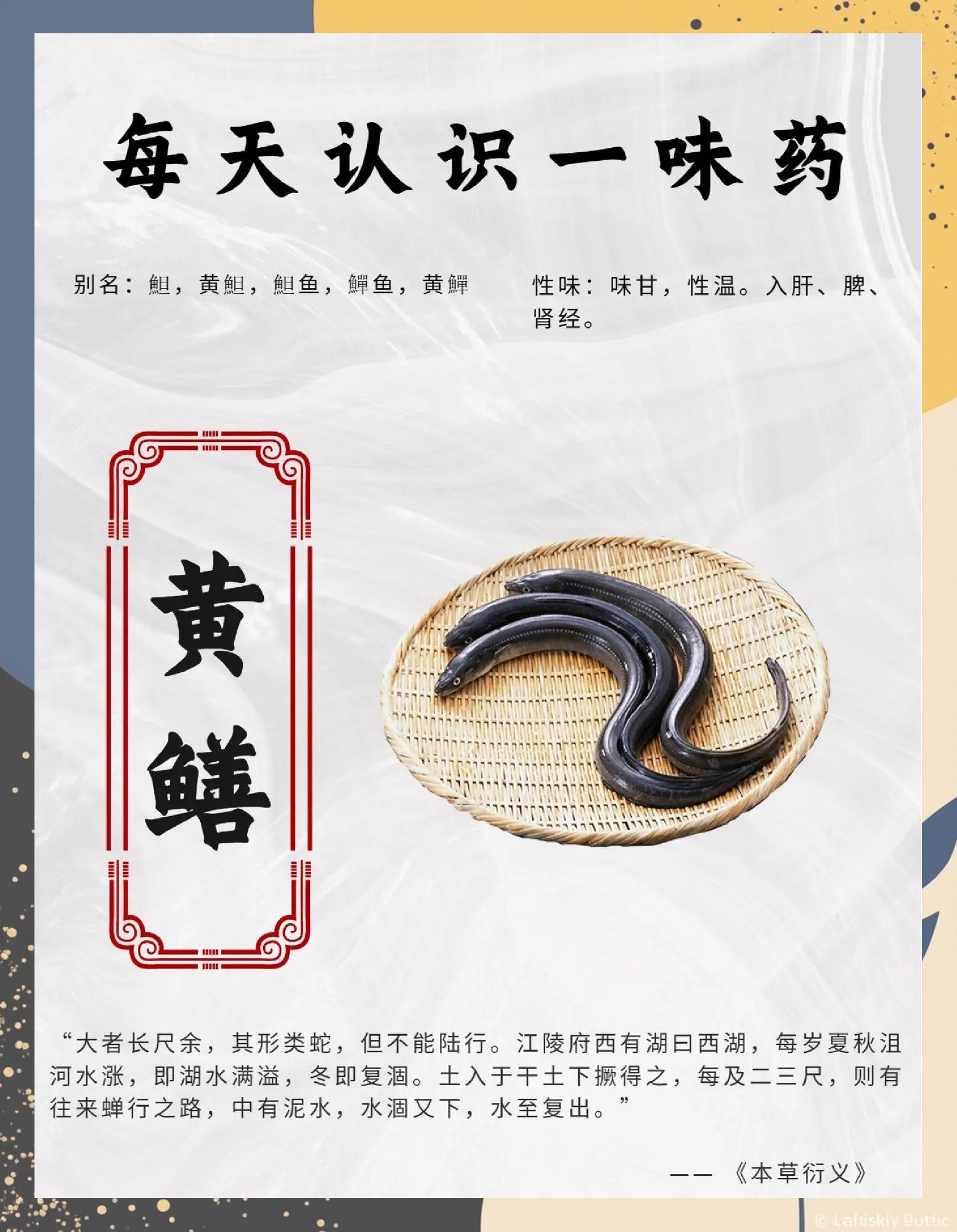 钓黄鳝技巧讲解(钓黄鳝的技术)