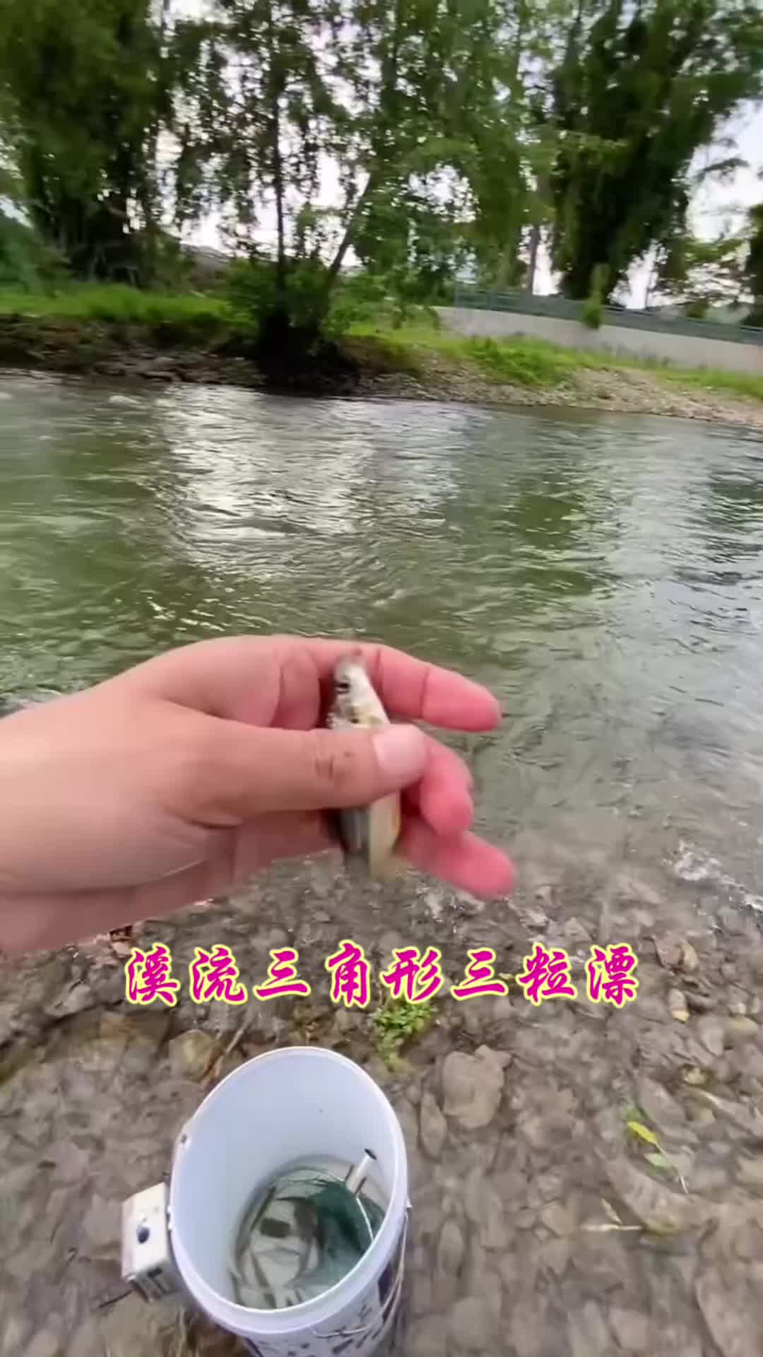 钓小溪鱼技巧(钓小溪鱼用什么饵料最好)