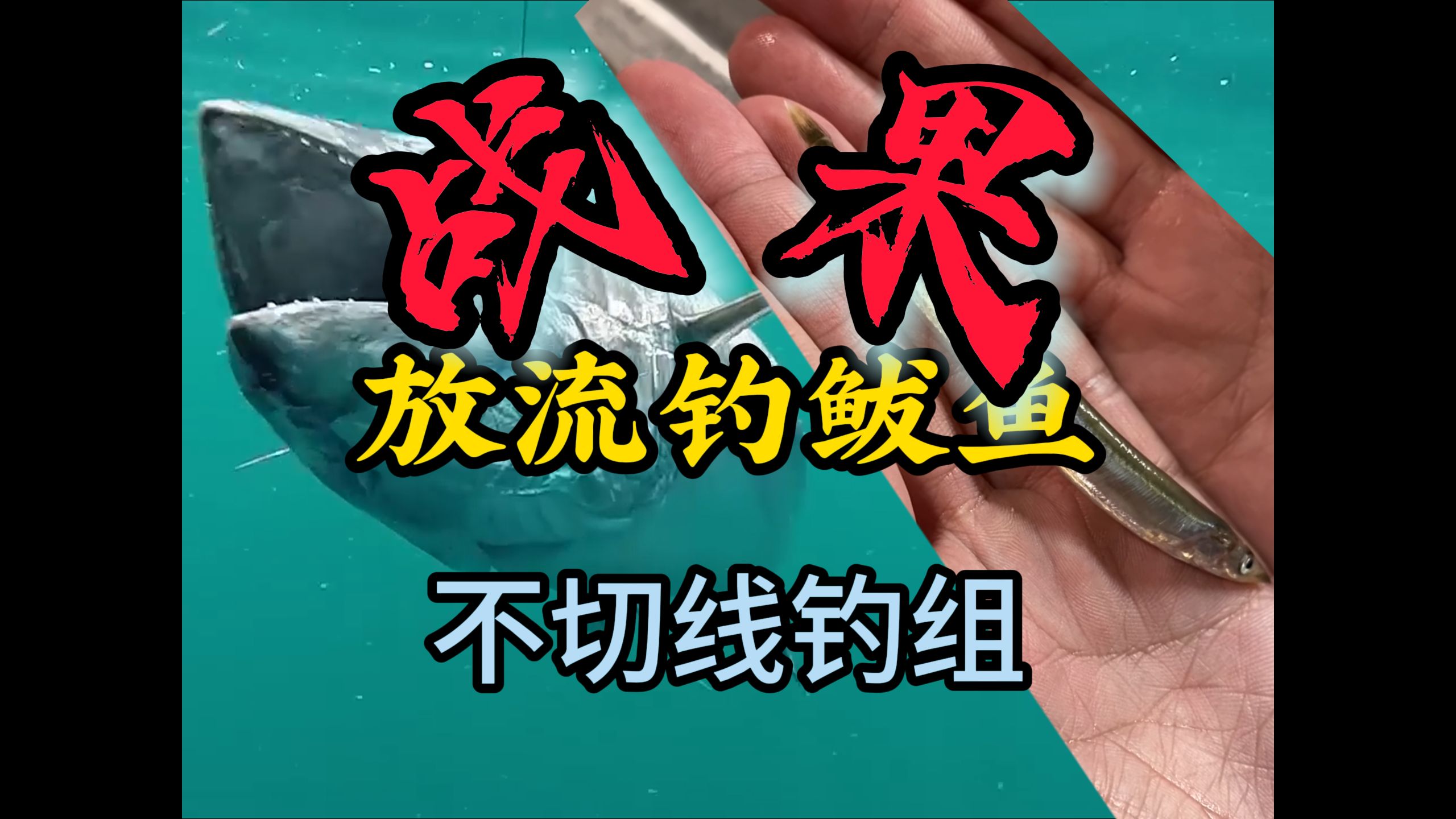 海钓小鱼技巧视频教程(海钓小鱼用什么办法钓)