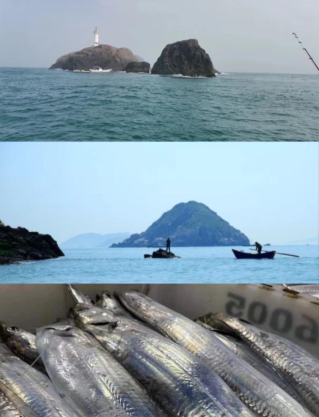 如何海钓视频高清(海钓精彩视频)