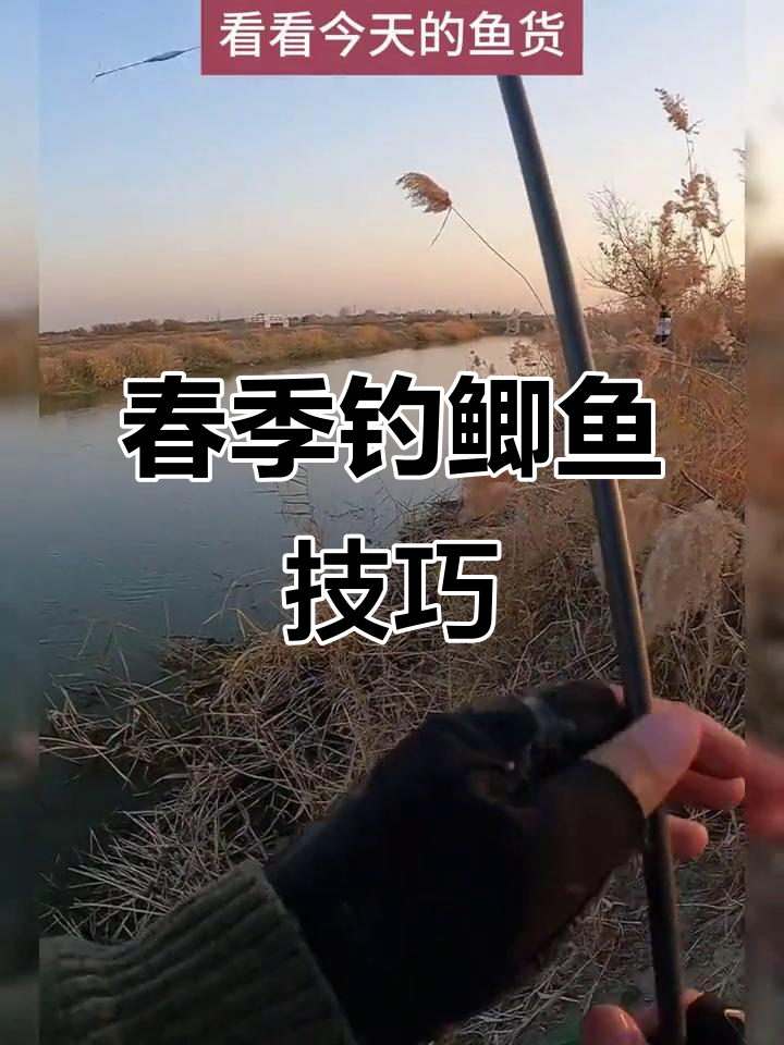春天饵料加腥(春天用腥饵好还是用香型的好)