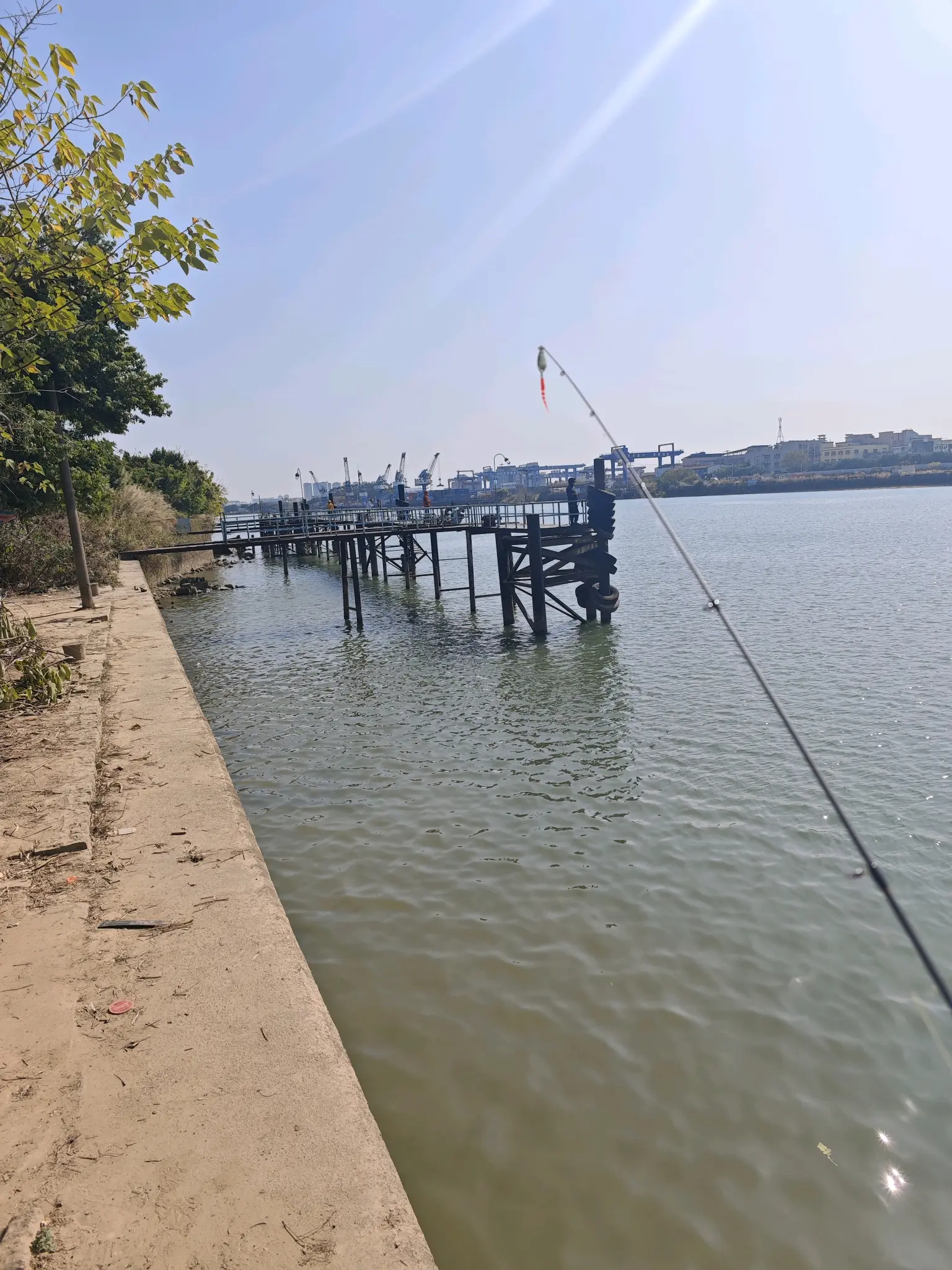 龙阳湖路亚(龙阳湖半岛公园简介)