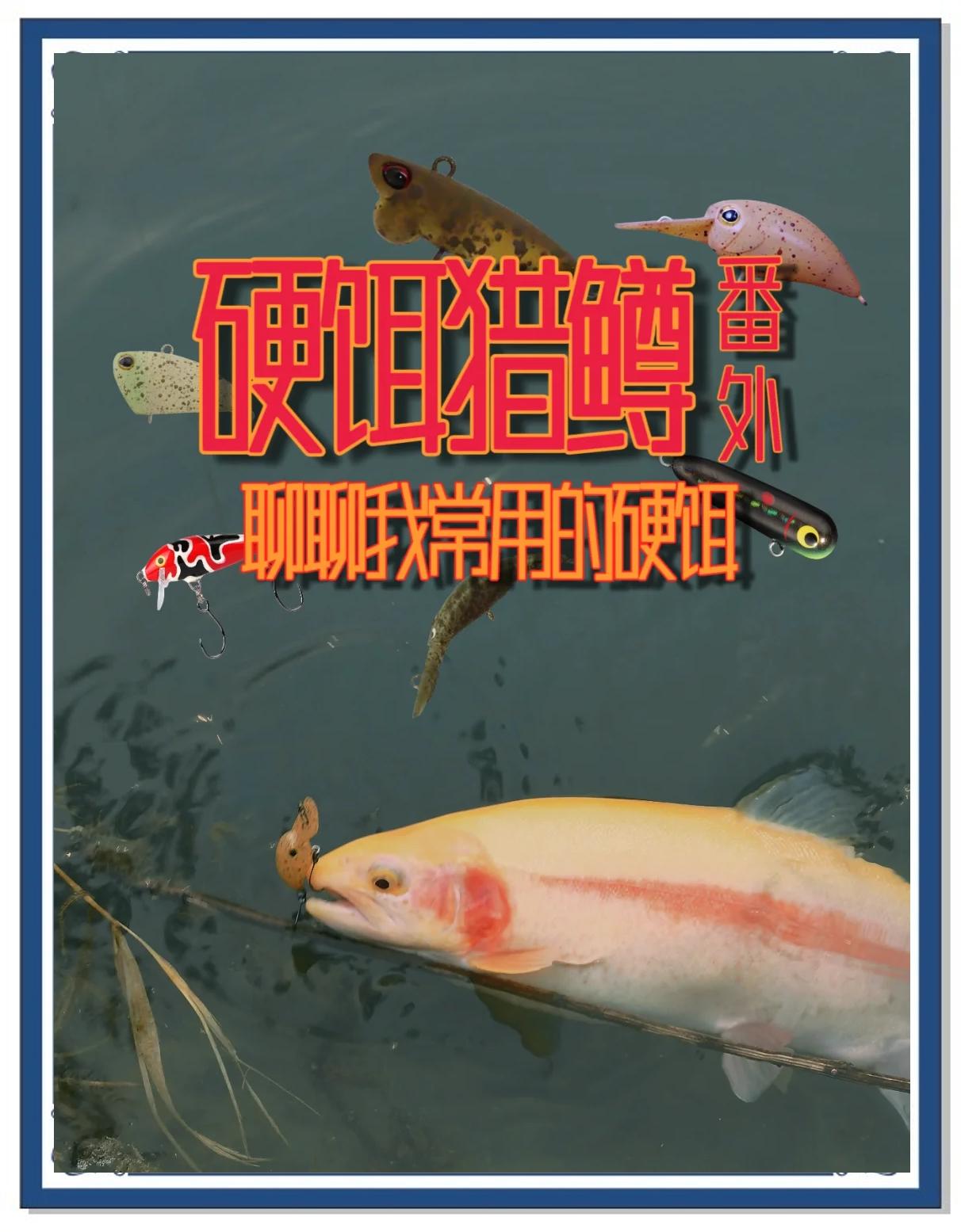 钓鳟鱼饵料(钓鳟鱼用什么饵)