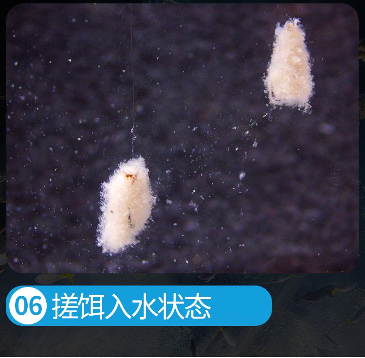 白色的饵料(白色的鱼饵是什么)